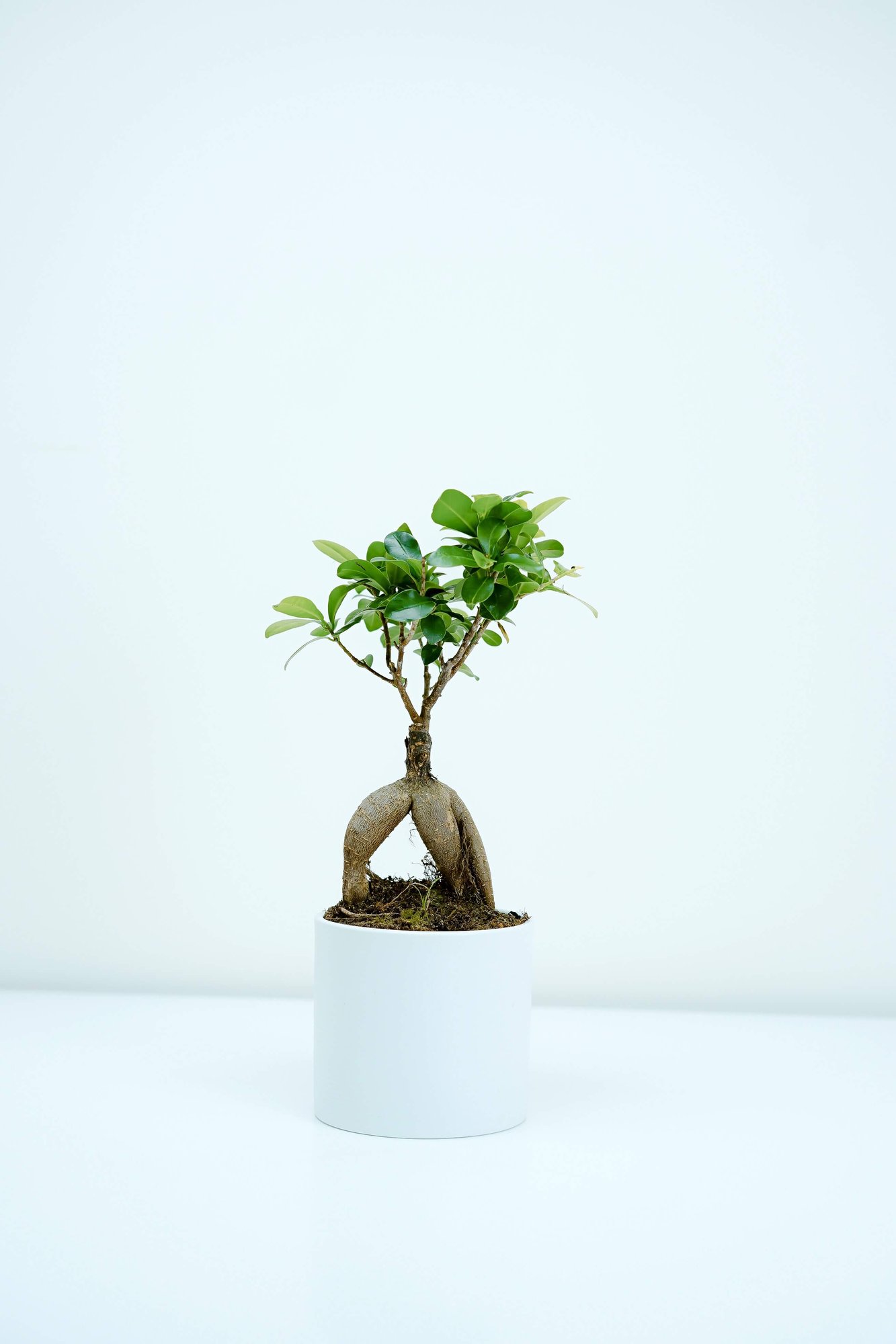 toa-heftiba-W1yjvf5idqA-unsplash